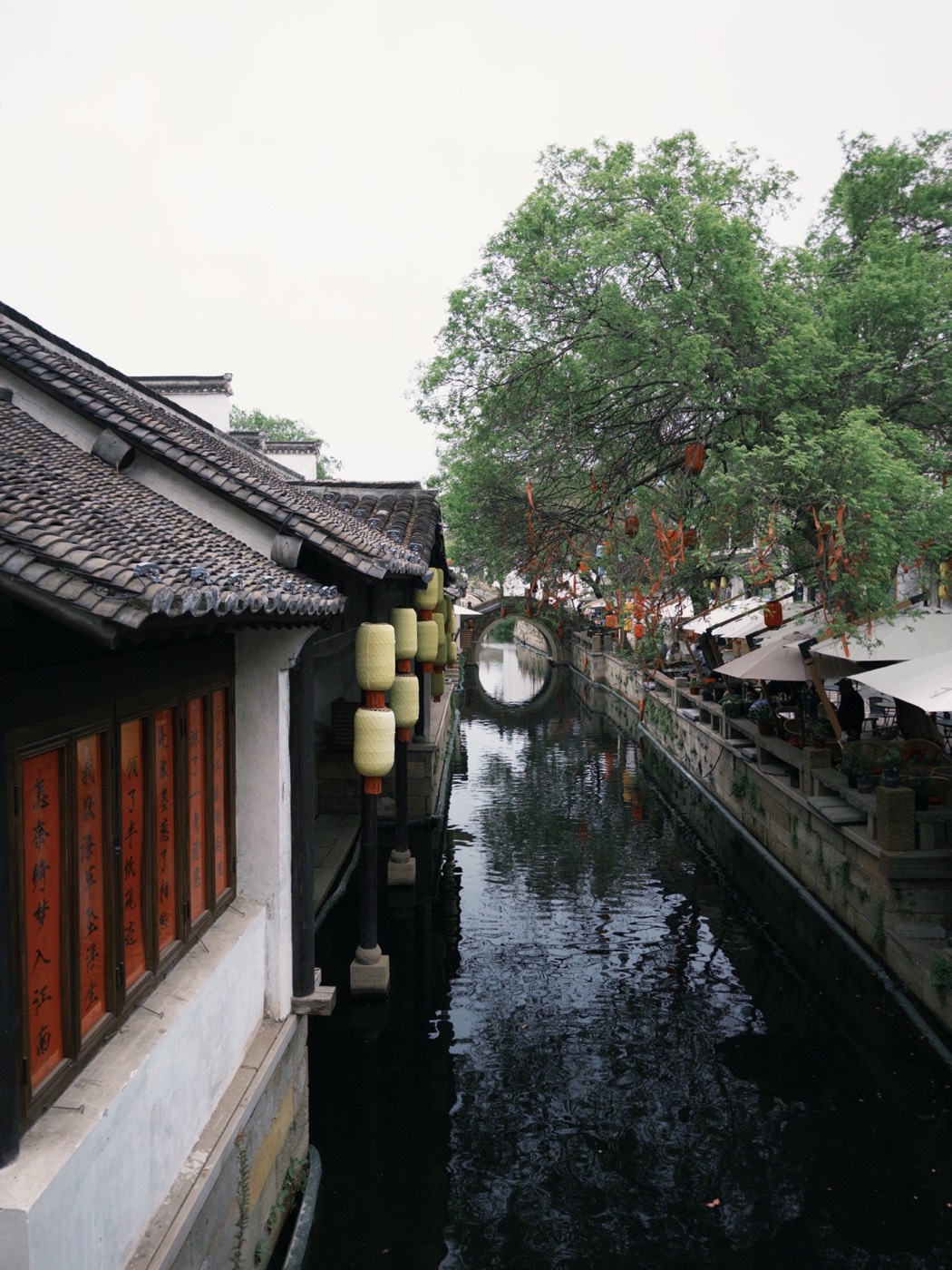 白墙黛瓦旁的水巷