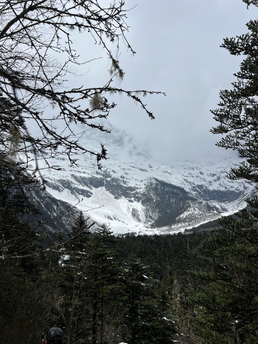 林木之间的雪山