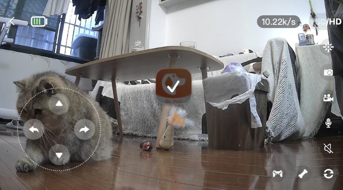 机器人视角下的猫咪与室内环境，设备应用画面截图